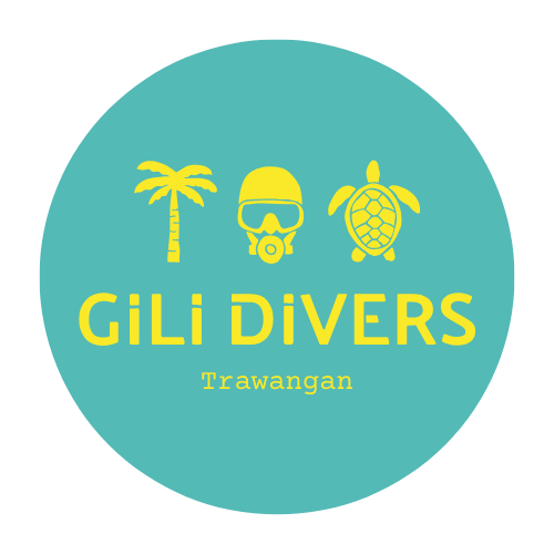 Gili Divers logo or image